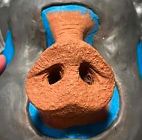 Nose Sculpt_edited.jpg
