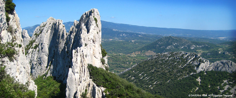 Dentelles de Montmirail