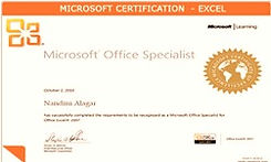 certificate Excel_edited.jpg
