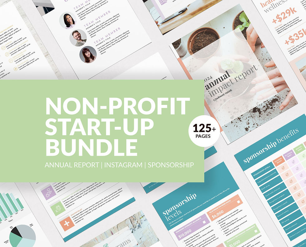 Colorful - Non-profit Start-up Bundle - PLR