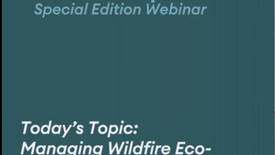 Ask an Expert - Managing Wildfire Eco-Anxiety