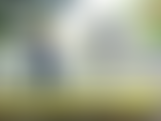 “จิตอาสาบำเพ็ญสาธารณประโยชน์พัฒนาพระราชวังจันทน์ และสองฝั่งริมแม่น้ำน่าน”