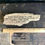 Thumbnail: Quote on Found Wood - I alone cannot change the world