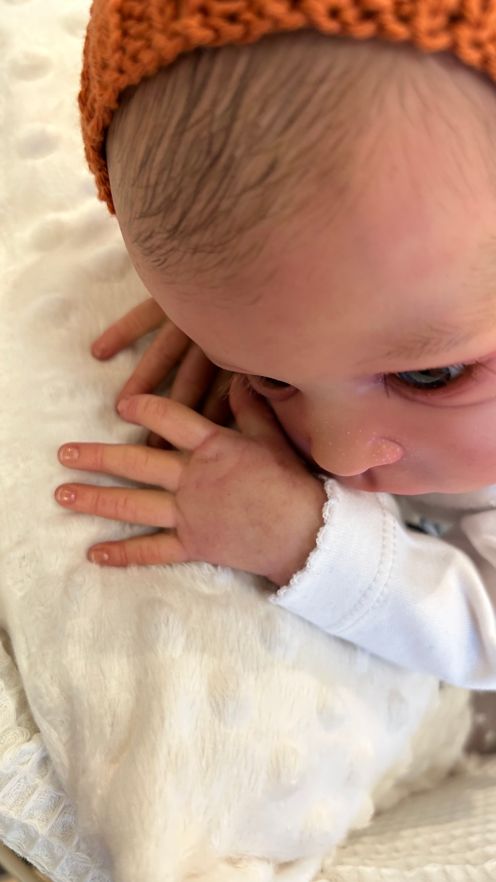 Miniature : Lilireborns Oskar