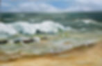 Winter Sea
