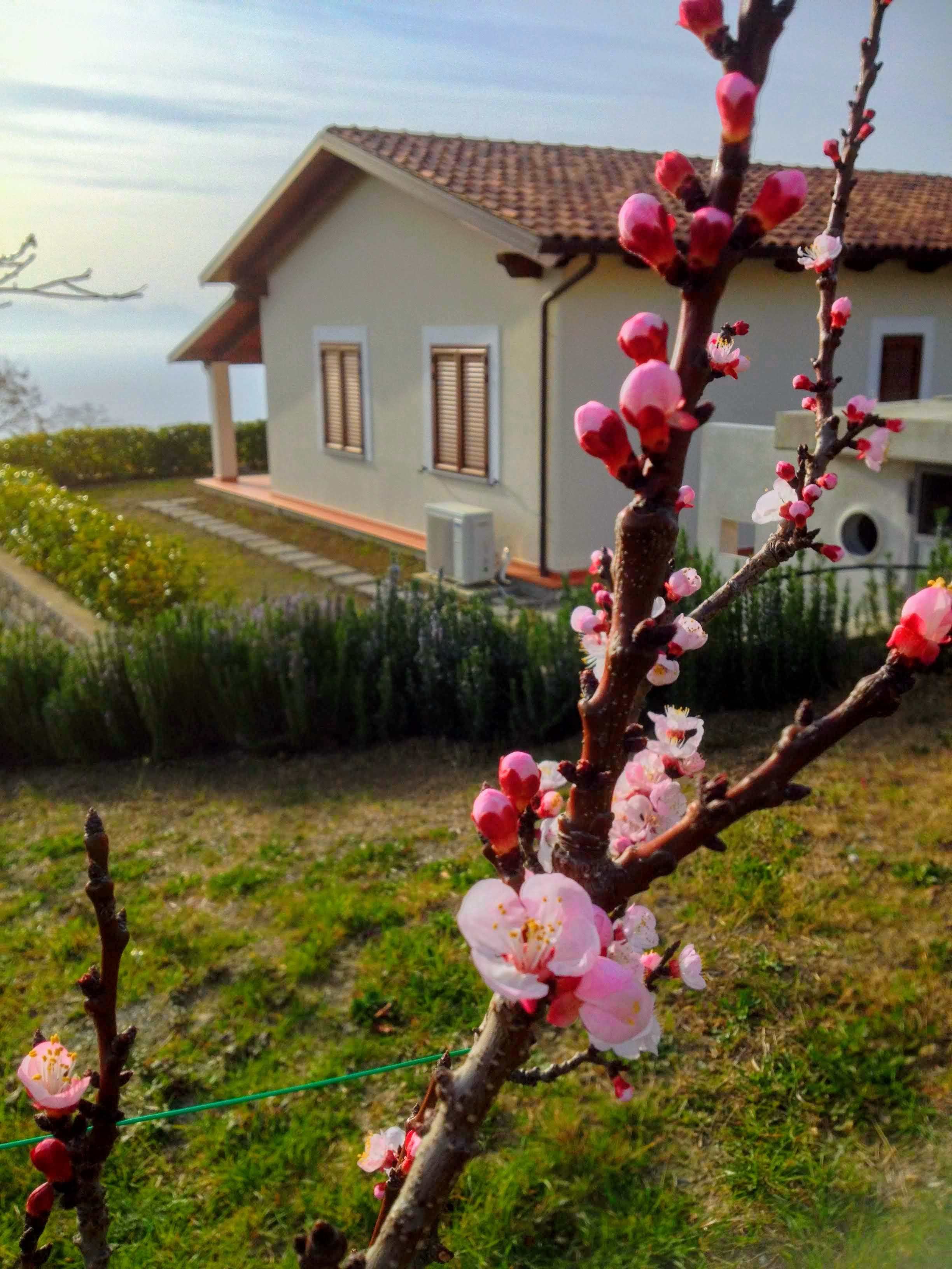 TRE BORGHI