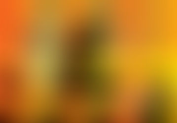 Representación laza