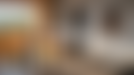 Erros comuns ao tentar eliminar insetos por conta própria em Fortaleza