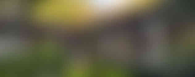 Další hotelové patio s tropickou vegetací