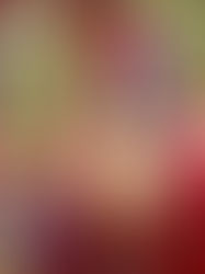 Na tři krále chodí šašci. Brazilské oslavy se od českých výrazně liší