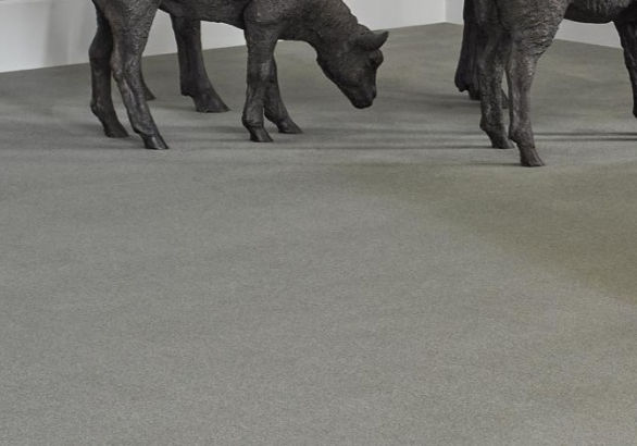 Royal Velvet Carpet