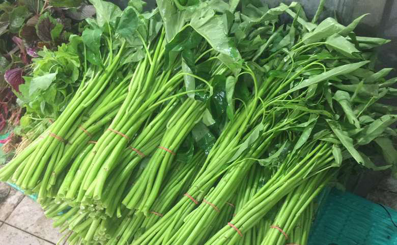 Kangkung