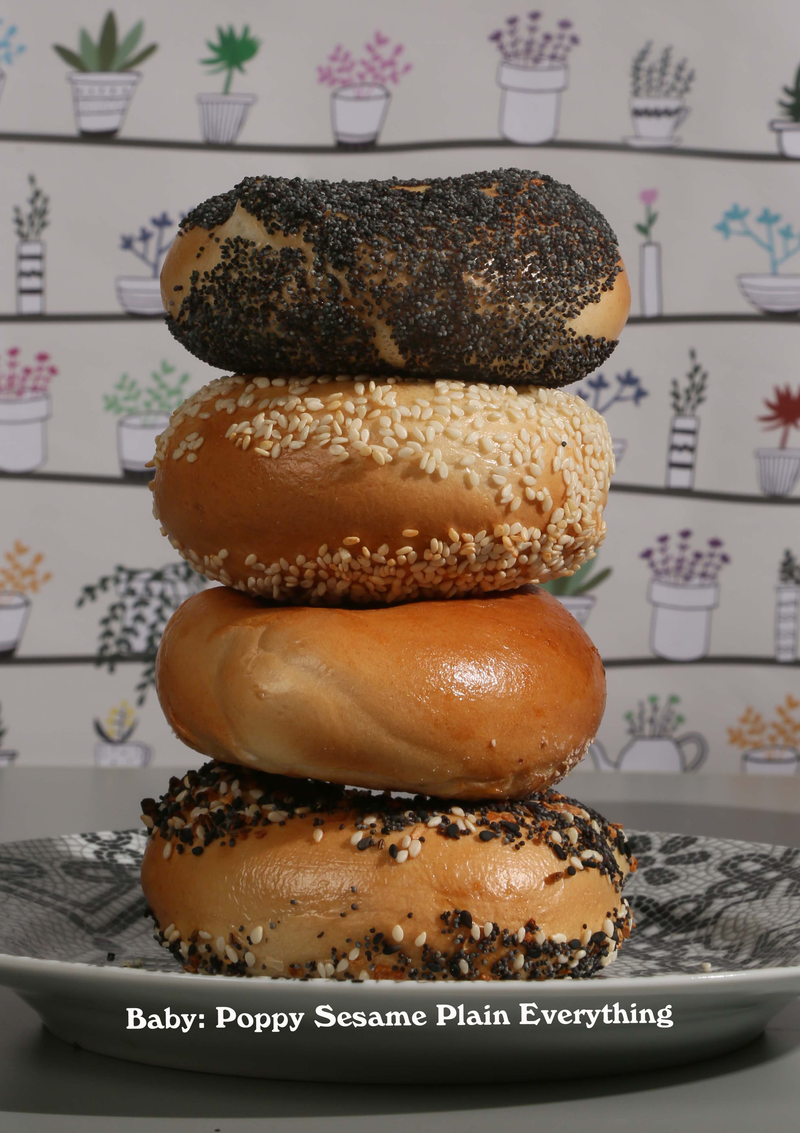 BABY BAGEL PACKAGE (six-pack)