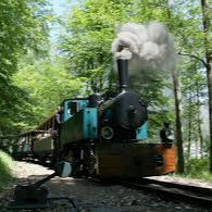 Train Forestier d'Abreschviller - Train des Mousquetaires