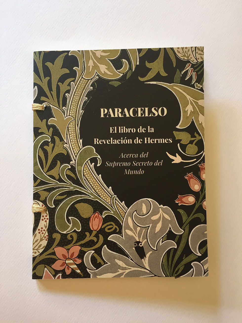 Paracelso