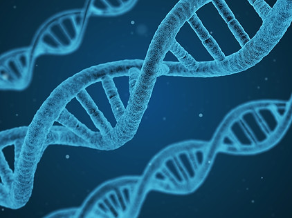 dna-1811955_1920.jpg