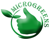 микро растения microgreens