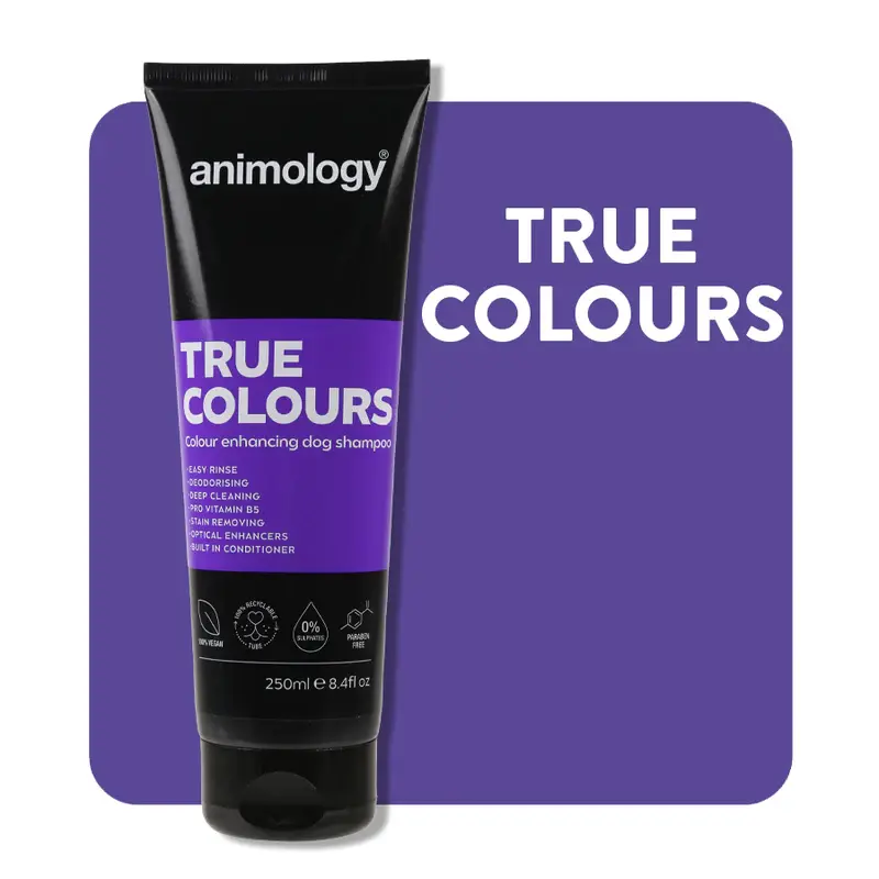 Animology - True Colours  Shampoo  250ML