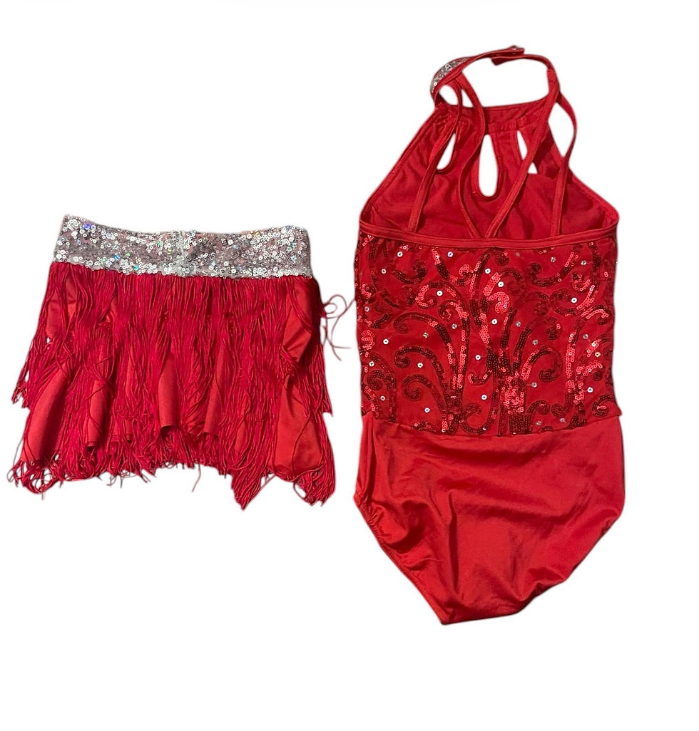 Thumbnail: Red Fringe and Sequins Costume - Size IC
