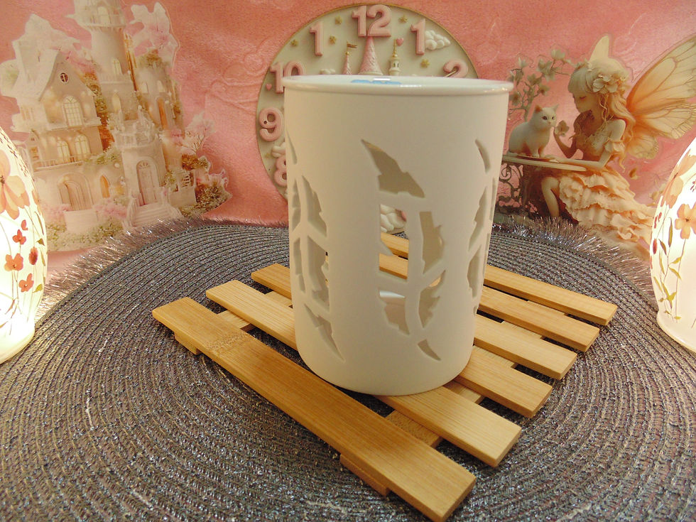 Brûle-parfum Bohème Motif Plumes