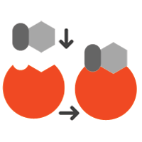 enzyme3.png
