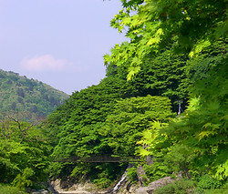 CIMG0138.JPG