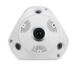 Fish Eye (2.4 MP) Dom