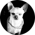 unnamed (13).png