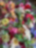 florals_edited.jpg