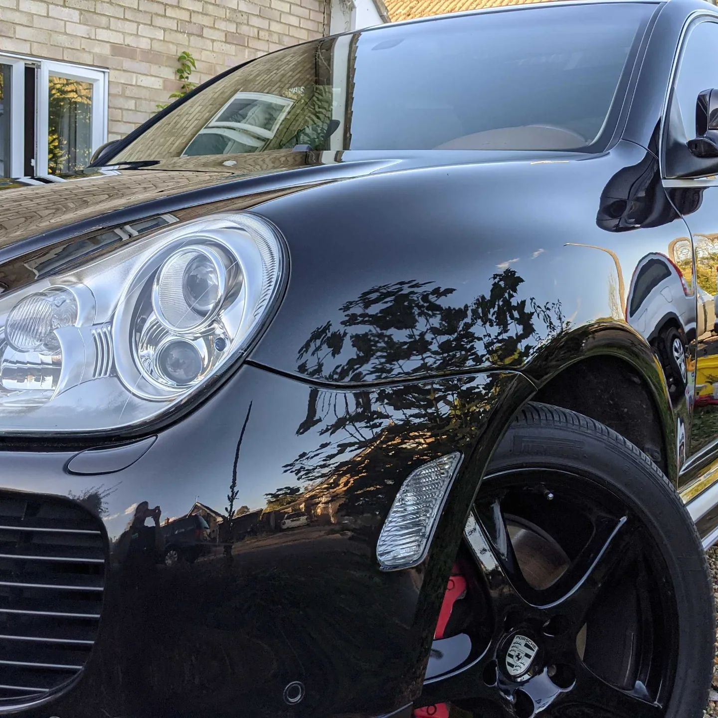 one step paint enhancement with turtule wax 3 to 6 months protection