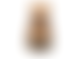 The Everyday Essentials: Why a Bamboo Dish Brush and Soap Dishes for Bar Soap Belong in Every Sustainable Home