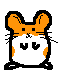 hamsterdance.gif