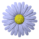 flower.gif