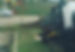 17860661924338505.jpg