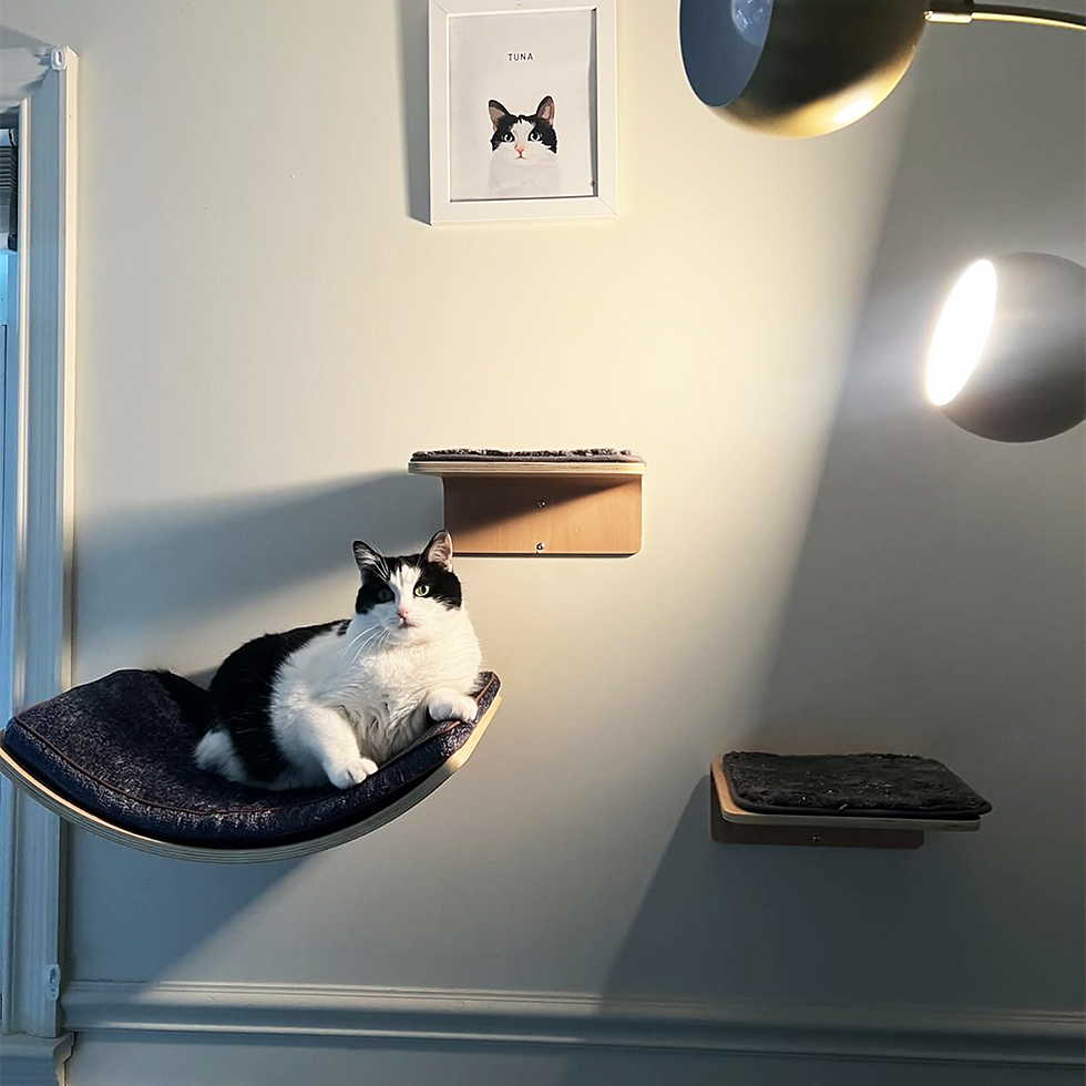 Thumbnail: Cat Wall Steps Wooden Cat Climbing Shelf for Wall Cats Wall Stairs with Scratchi