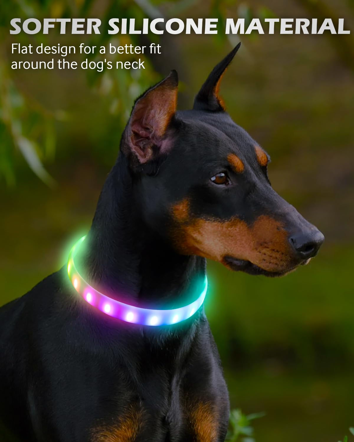 Lightweight USB Rechargeable Collar for Large Medium and Small Dogs, Glowing Dog