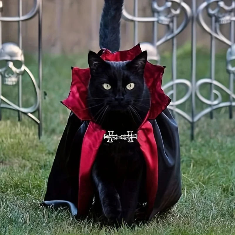 Thumbnail: Spooky Vampire Halloween Costume for Cats - Couture Cloak & Hat Set, Perfect for
