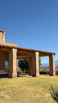 IMG_8864.JPG