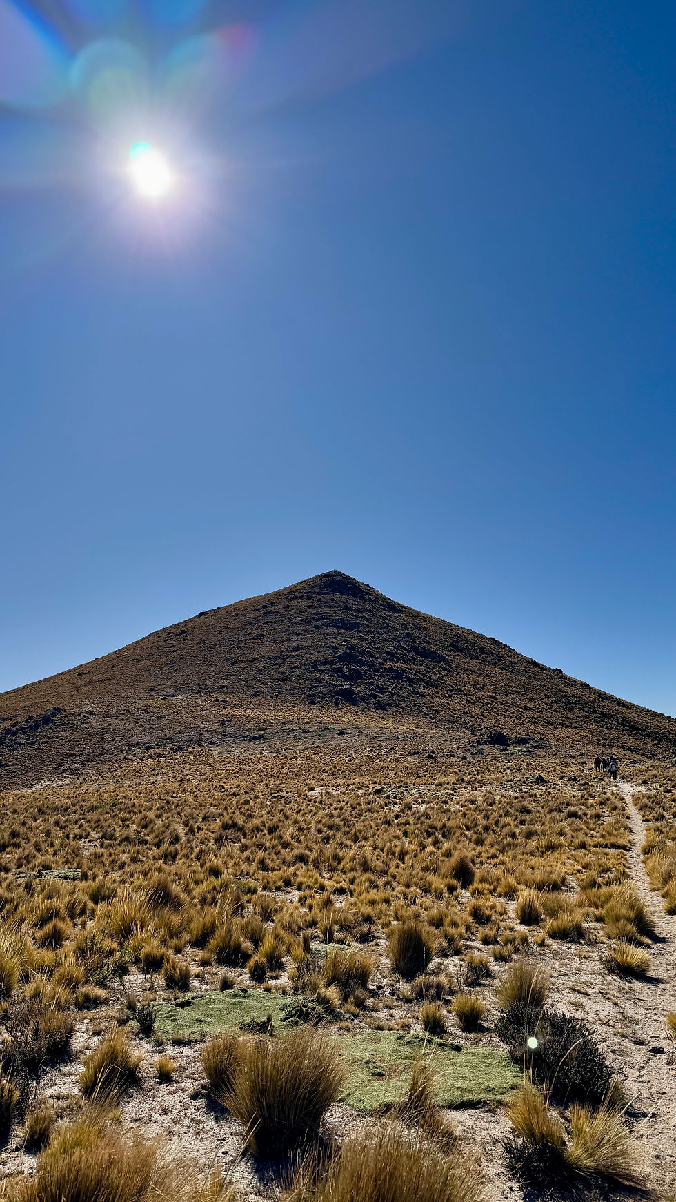 Carapunco