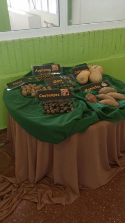 Castanyes i Moniatos....