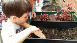 20150511_161103_resized