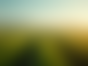 Emprendimientos de Éxito en Ecuador