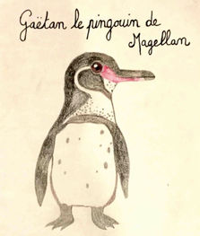 Série pinguins pour les petits malins....