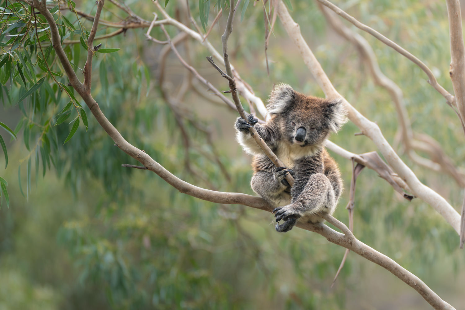 Hanging out
