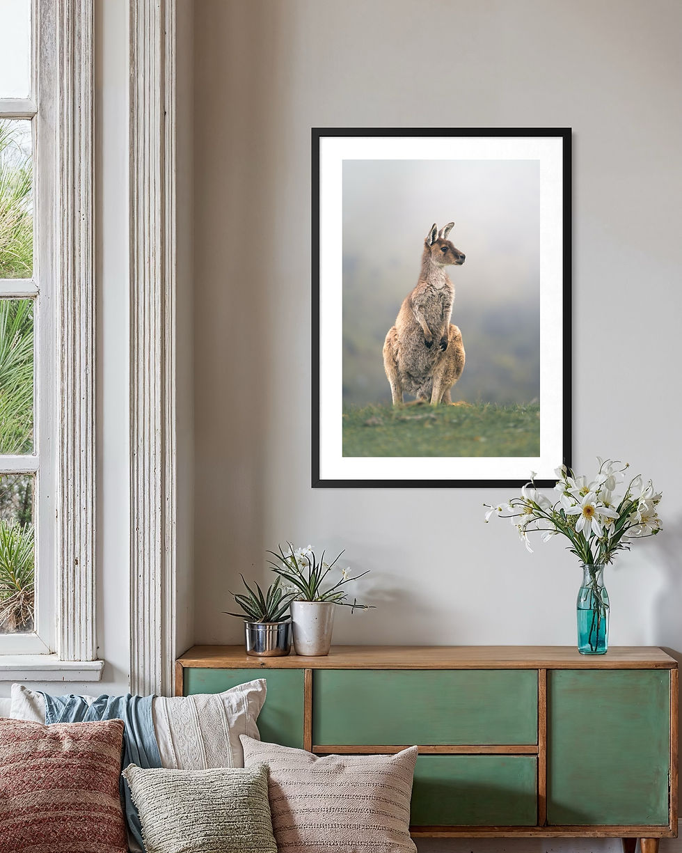 Thumbnail: Australian Wildlife Set