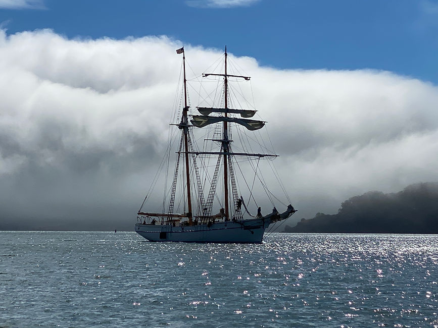 055117B0-E801-4942-821F-AD9DB2BC6879.jpeg