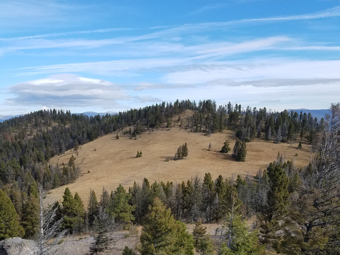 Columbia Project, Montana