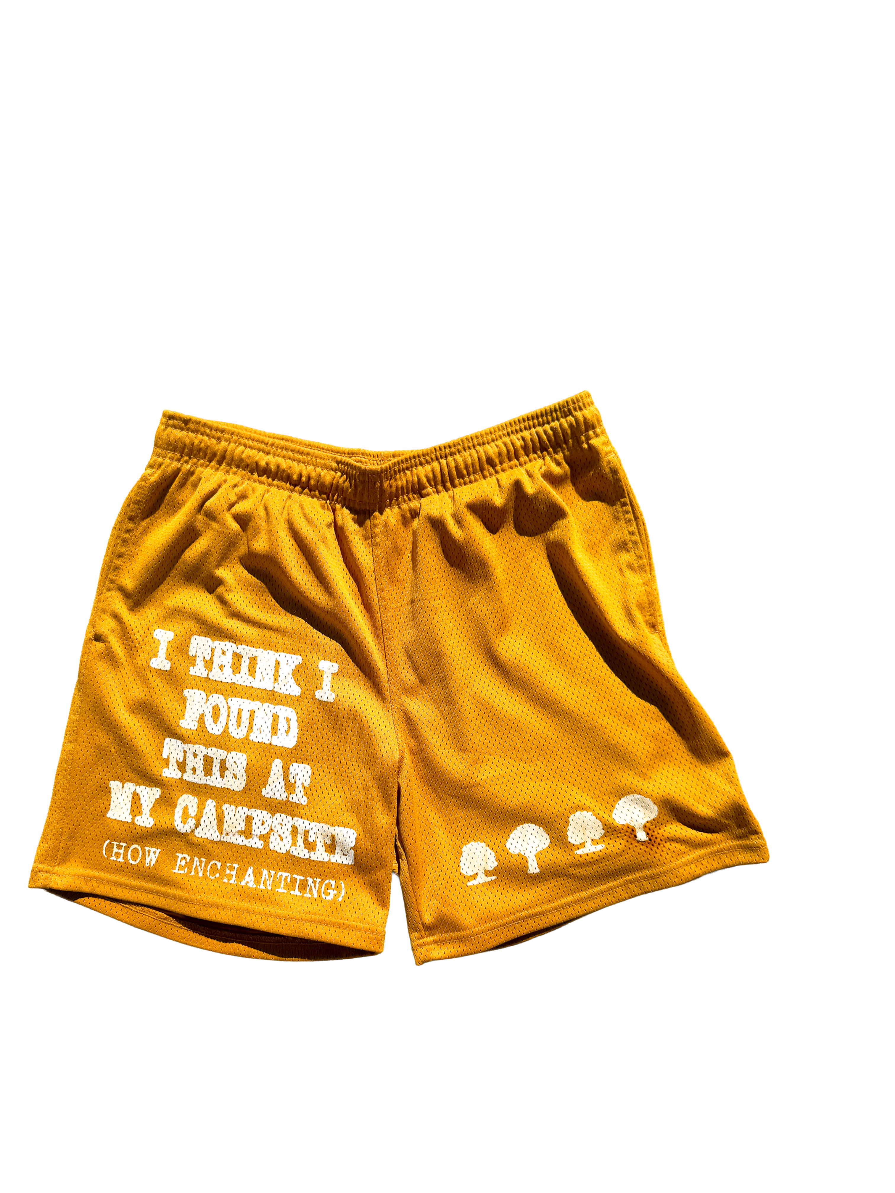 I Think I Found This At My Campsite Shorts