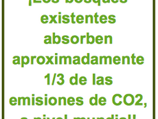 ¿CUÁNTO CO2 CONSUME UN BLOG?