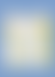 11月出店予定と、11/1(土)中止、11/2(日)クロフォード公園へ会場変更のお知らせ📅📢